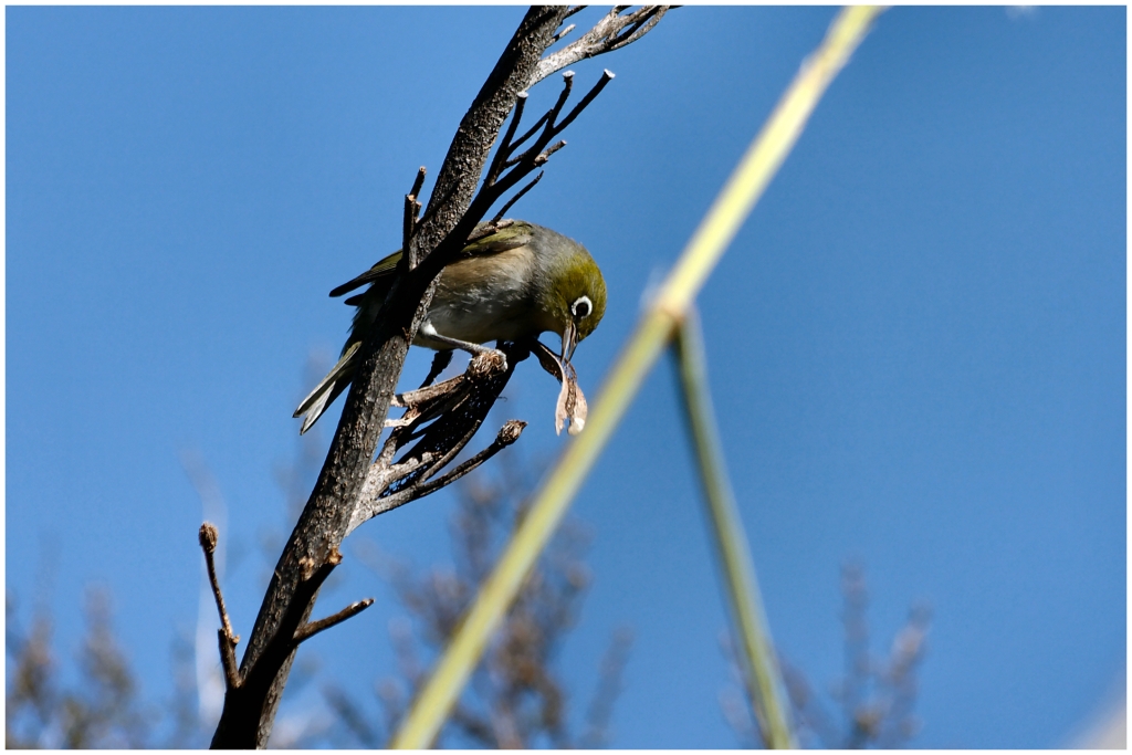 06 -Te Anau (08).jpg